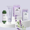 Vitamin C Shower Filter, Lavender Land